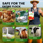 Natural Internal & External Poultry Dewormer for Chickens