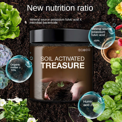 🌱Soil Activated Treasure-You Will Be Amazed!🌿