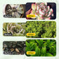 Horticultural General Nutrient Solution for Root