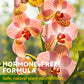 Horticultural General Nutrient Solution for Root