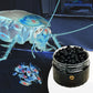Powerful Cockroach Repellent Gel Beads