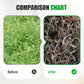Broadleaf Weed Powerful Herbicide
