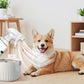 Long-Lasting Indoor & Outdoor Insecticide Spray for Roach