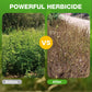 Powerful 2,4-D and Glyphosate Herbicide