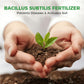 Bacillus Subtilis Fertilizer - Prevents Diseases & Activates Soil