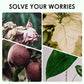 Microbial Floral Organic Fertilizer