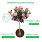 Flower & Foliage & Root-Boosting Powder