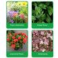 Flower & Foliage & Root-Boosting Powder