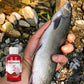 Efficient Fish Stunning Bait