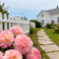 Multi-Season Blooming Hollyhock Seeds