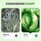 Premium Cabbage Boost Fertilizer