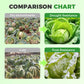 Premium Cabbage Boost Fertilizer