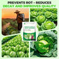 Premium Cabbage Boost Fertilizer