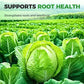 Premium Cabbage Boost Fertilizer
