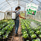 Premium Cabbage Boost Fertilizer