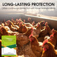 100g Poultry Farm & Equipment Disinfectant Powder