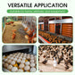 100g Poultry Farm & Equipment Disinfectant Powder