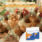 Poultry & Livestock Leg Health Supplement