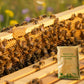 Nutrient-Rich Supplemental Feed for Bees