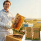 Nutrient-Rich Supplemental Feed for Bees