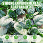 High-yielding Cold & Heat Tolerant Spinach Seeds