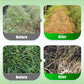 S-Metolachlor 96% Pre-Emergent Herbicide for Corn & Potatoes