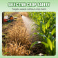 S-Metolachlor 96% Pre-Emergent Herbicide for Corn & Potatoes
