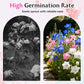 Mixed Colors Easy To Grow Lisianthus Seeds 