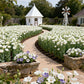 Mixed Colors Easy To Grow Lisianthus Seeds 