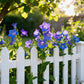 Mixed Colors Easy To Grow Lisianthus Seeds 