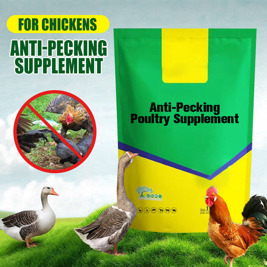 Anti-Pecking Poultry Supplement for Chickens
