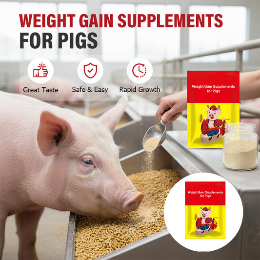Weight Gain Supplements for Pigs