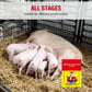 Weight Gain Supplements for Pigs