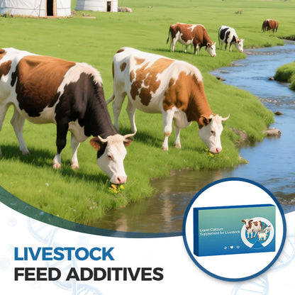 Liquid Calcium Supplement for Livestock