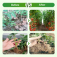 High Concentration Eco-Friendly Compost Bacteria