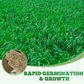 Hardy & Fast-Growing Ryegrass Seeds
