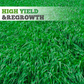 Hardy & Fast-Growing Ryegrass Seeds