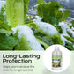 Plant Frost Protection Liquid for Vegetables & Flowers