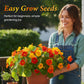Nasturtium Seeds for Planting