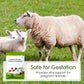 Livestock & Poultry Nutritional Additives