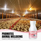 Natural Feed Additive for Poultry
