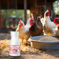 Natural Feed Additive for Poultry