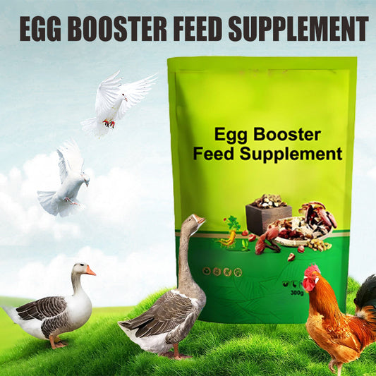 Egg Booster Feed Supplement