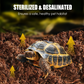 Sterilized Low-Salt Coconut Brick Ideal for Reptile Hibernation