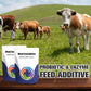 Probiotic & Enzyme Feed Additive