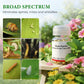 Water-Soluble Insecticide Capsules for Healthy Flowers