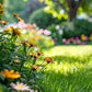 Colorful Wildflower Seed Mix for All Seasons