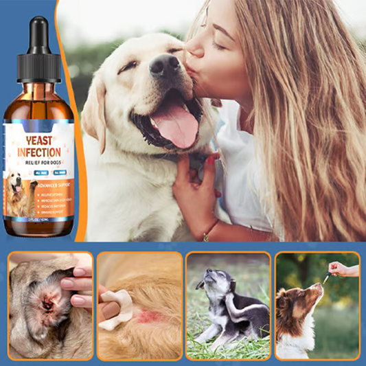 Natural Yeast Infection Treatment for Dogs