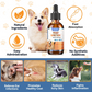 Natural Yeast Infection Treatment for Dogs