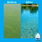 Beneficial Bacteria & Enzyme Clarifier Treatment For Ponds
